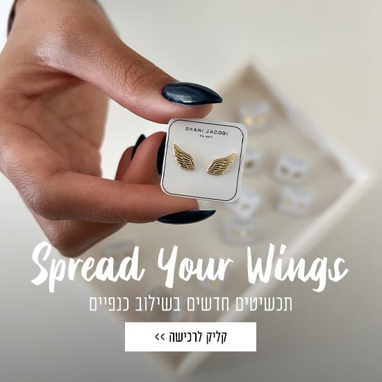 תכשיטי כנפיים