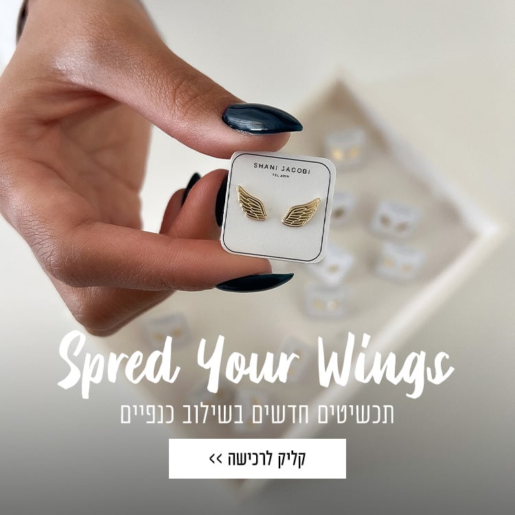 תכשיטי כנפיים