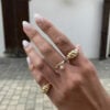 טבעת פרלין וטבעות ריף